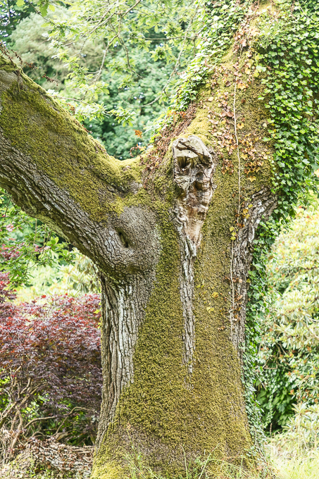 Waterford June 2018 (050)